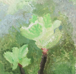 Magnolia Flowers, 30 x 40 - inch acrylic on canvas