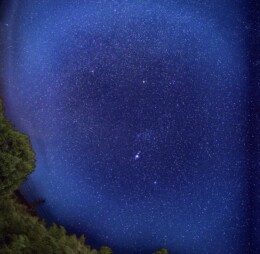 Under the Winter Sky