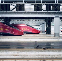 Velocity, 2025