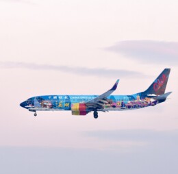 China United Airlines Special Livery